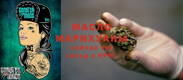 шишки Гусиноозёрск
