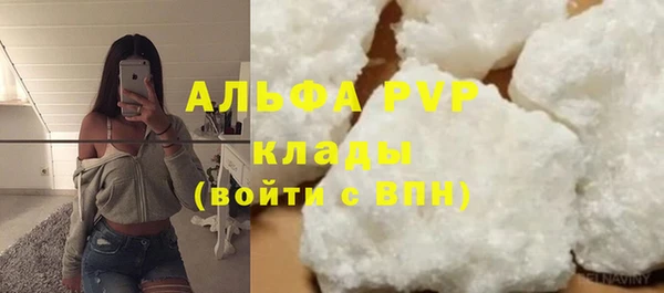 шишки Гусиноозёрск