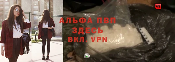 шишки Гусиноозёрск