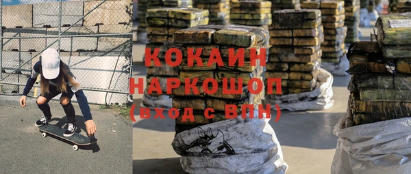 шишки Гусиноозёрск