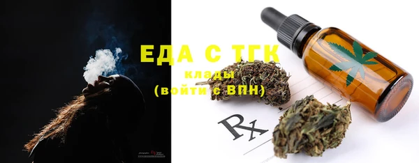 шишки Гусиноозёрск