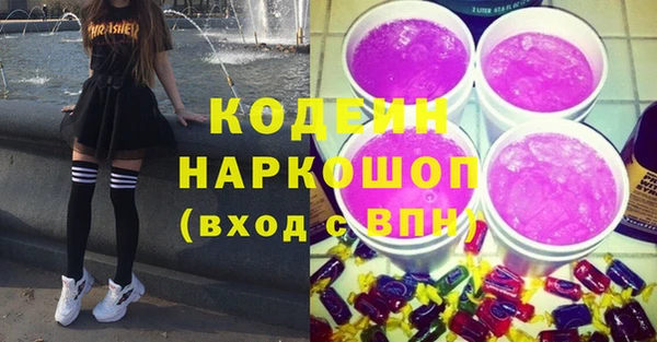 шишки Гусиноозёрск