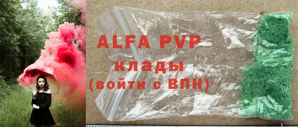 шишки Гусиноозёрск