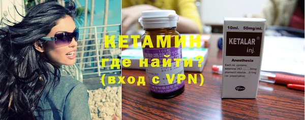 шишки Гусиноозёрск