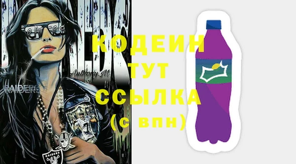 шишки Гусиноозёрск
