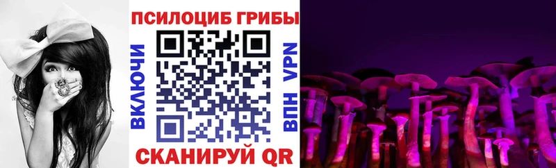 Купить где  Усть-Джегута  Псилоцибиновые грибы Psilocybine cubensis 